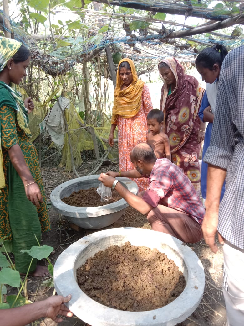 Kitchen Garden image 5