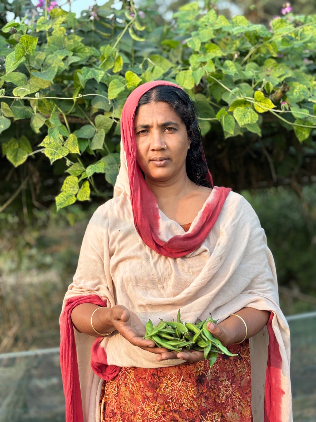 Agro-Voltaic Water System image 1