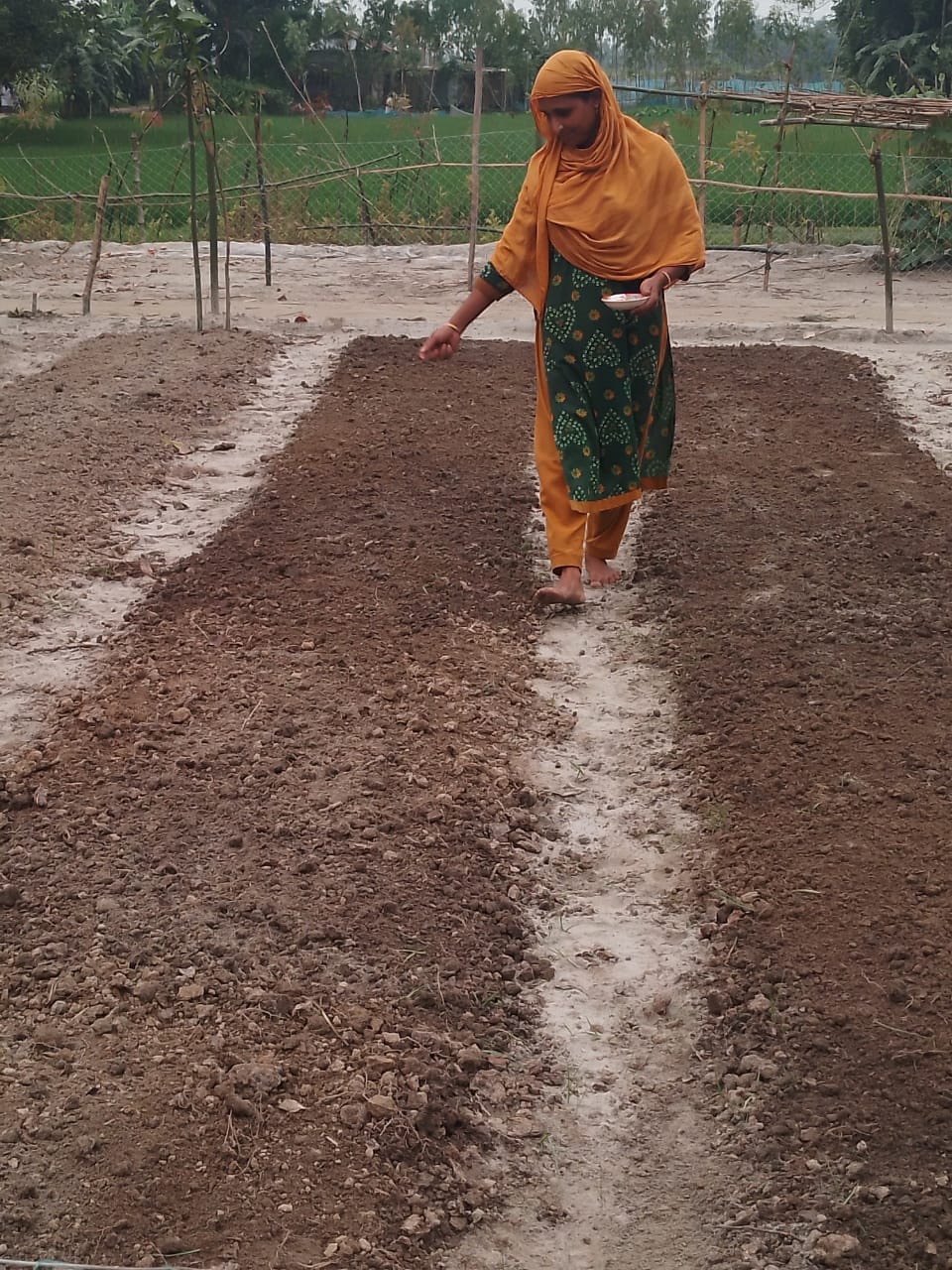 Kitchen Garden image 4